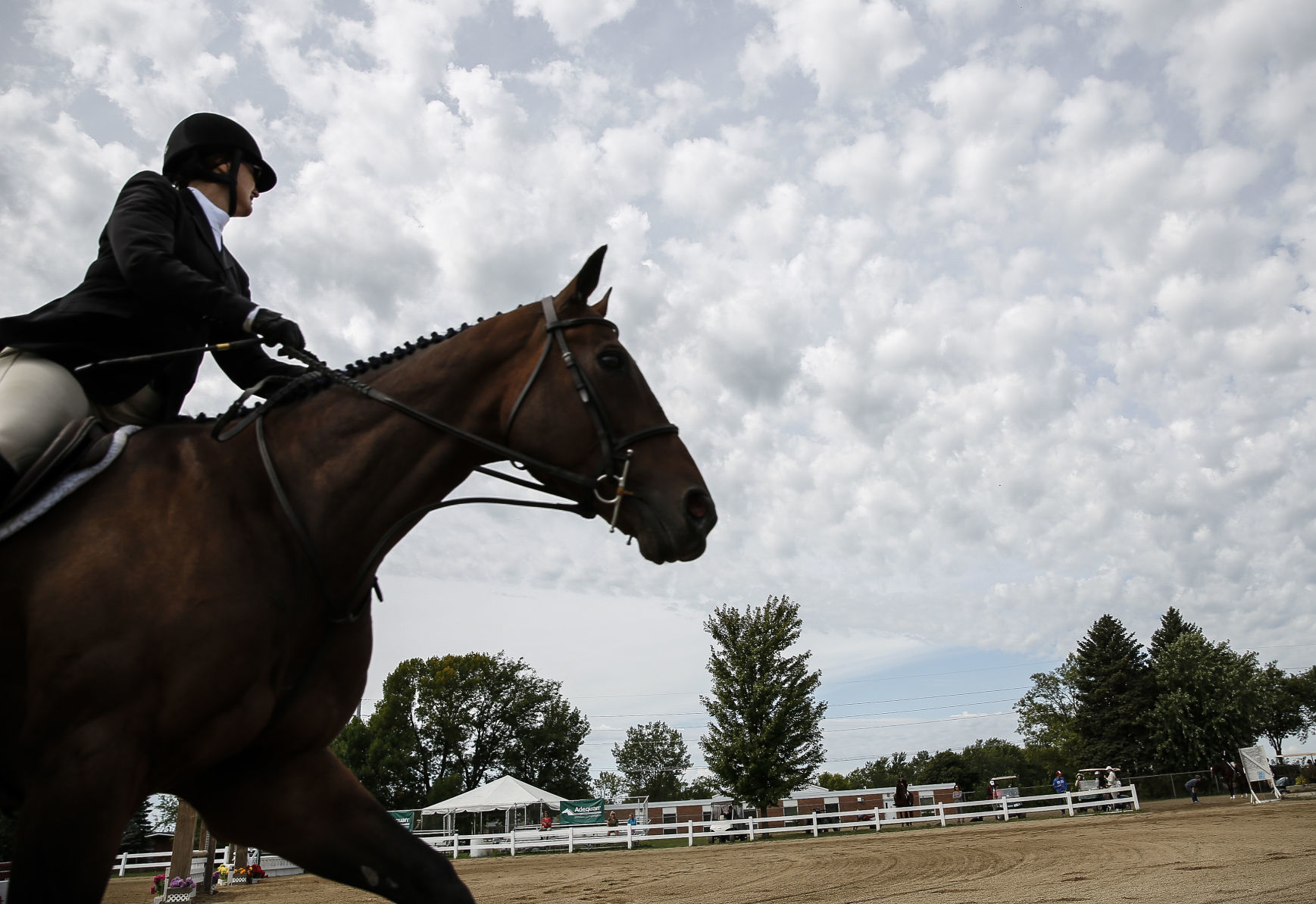 Midstates Horse Show 6